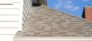 gutter maintenance